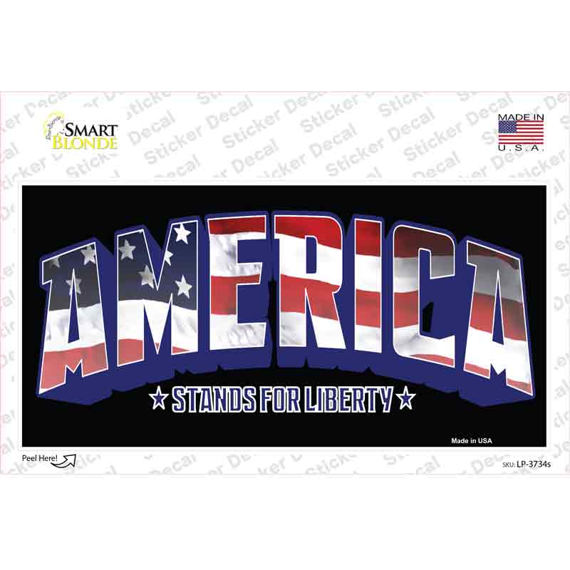 LP-3734s-M America Novelty Sticker Decal - Medium