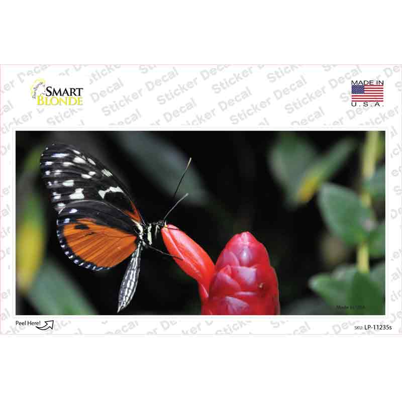 LP-11235s-M Butterfly on Red Flower Novelty Sticker Decal - Medium