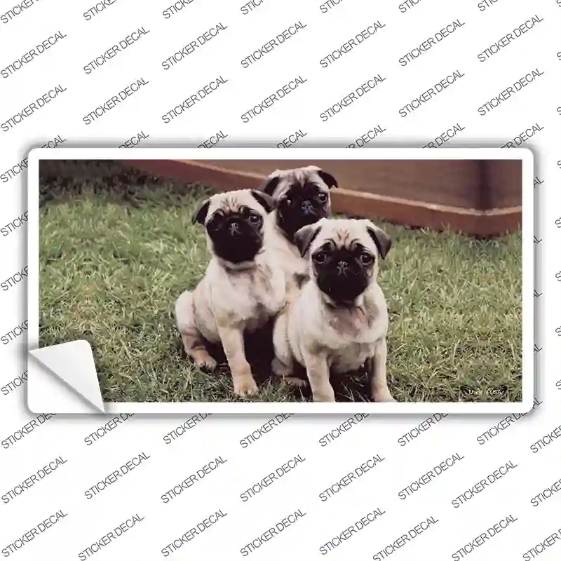 LP-2177s-L Pug Dog Novelty Sticker Decal - Large
