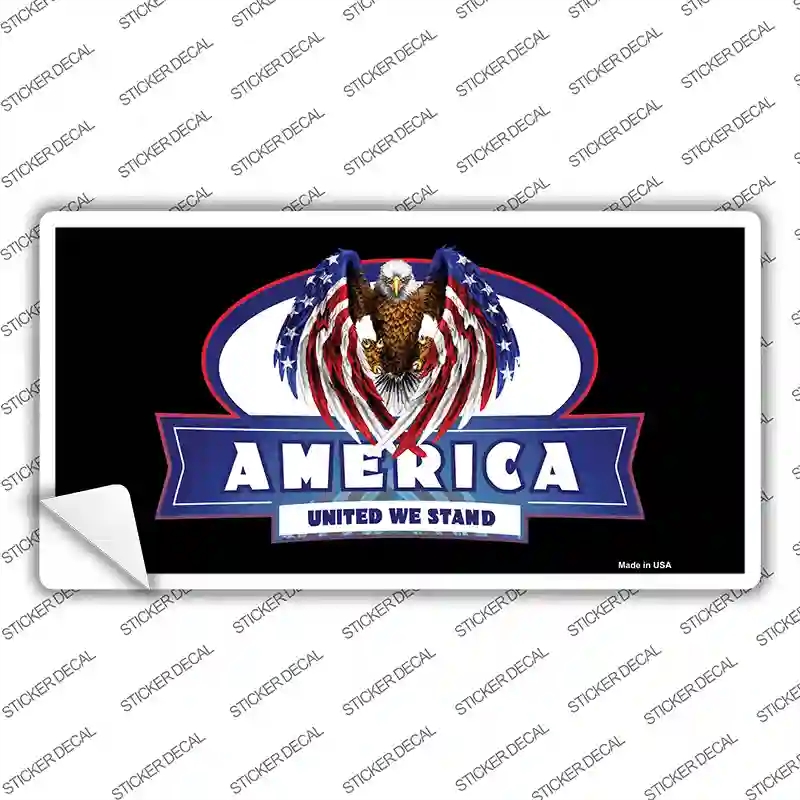 LP-3738s-L America United Novelty Sticker Decal - Large