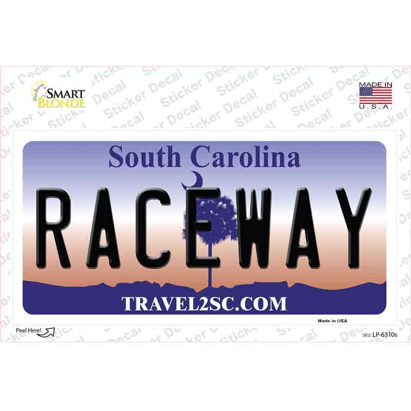 LP-6310s-M Raceway South Carolina Novelty Sticker Decal - Medium