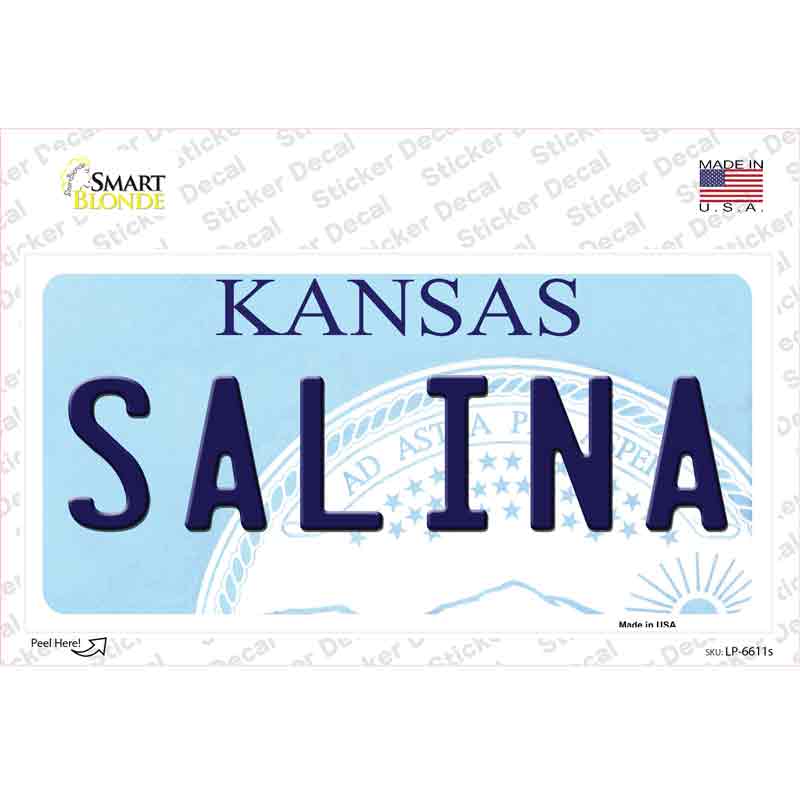 LP-6611s-M Salina Kansas Novelty Sticker Decal - Medium