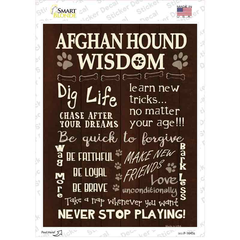 P-1645s-M Afghan Hound Wisdom Novelty Rectangle Sticker Decal - Medium