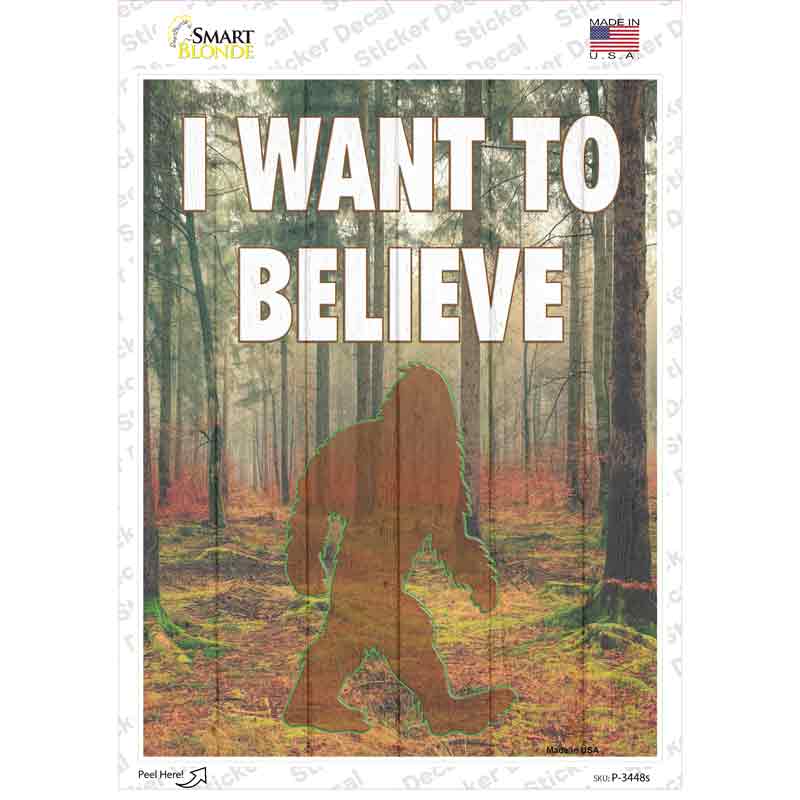 P-3448s-M I Want to Believe Novelty Rectangle Sticker Decal - Medium