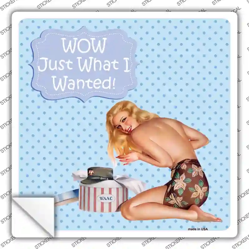 SQ-333s-S Just What I Wanted Novelty Square Sticker Decal - Small