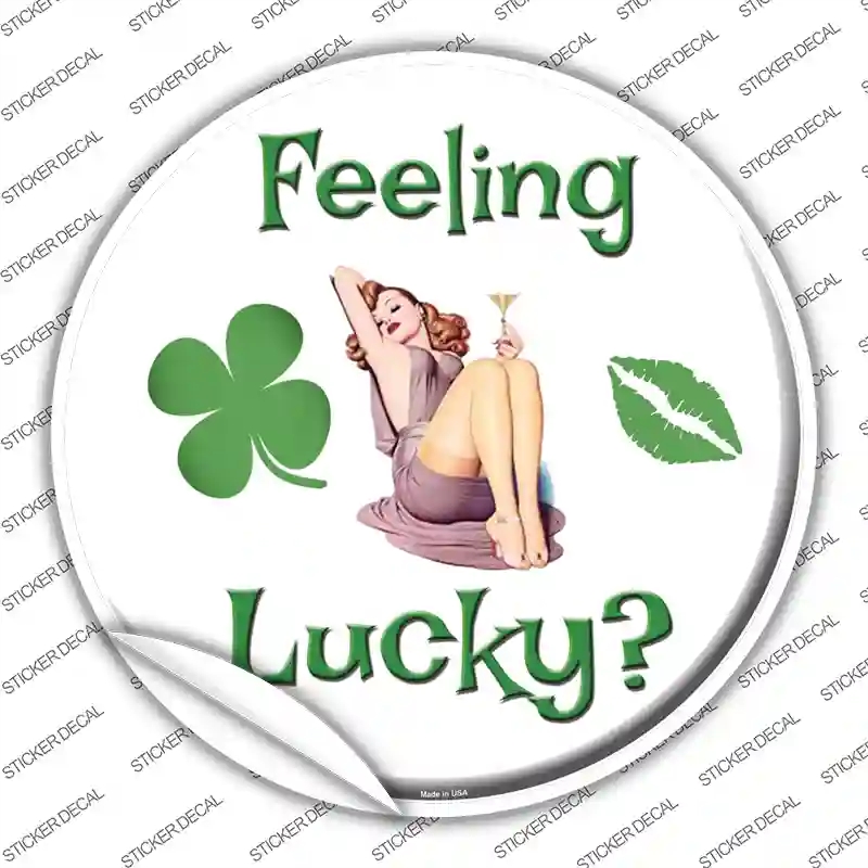 C-172s-L Feeling Lucky Novelty Circle Sticker Decal - Large