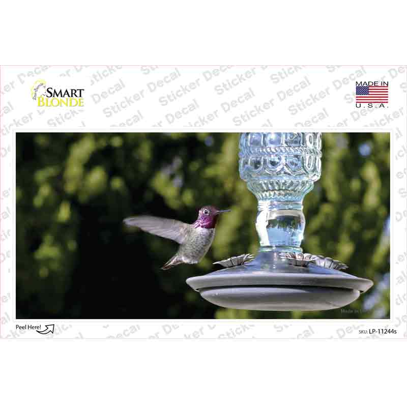 LP-11244s-M Hummingbird At Feeder Novelty Sticker Decal - Medium