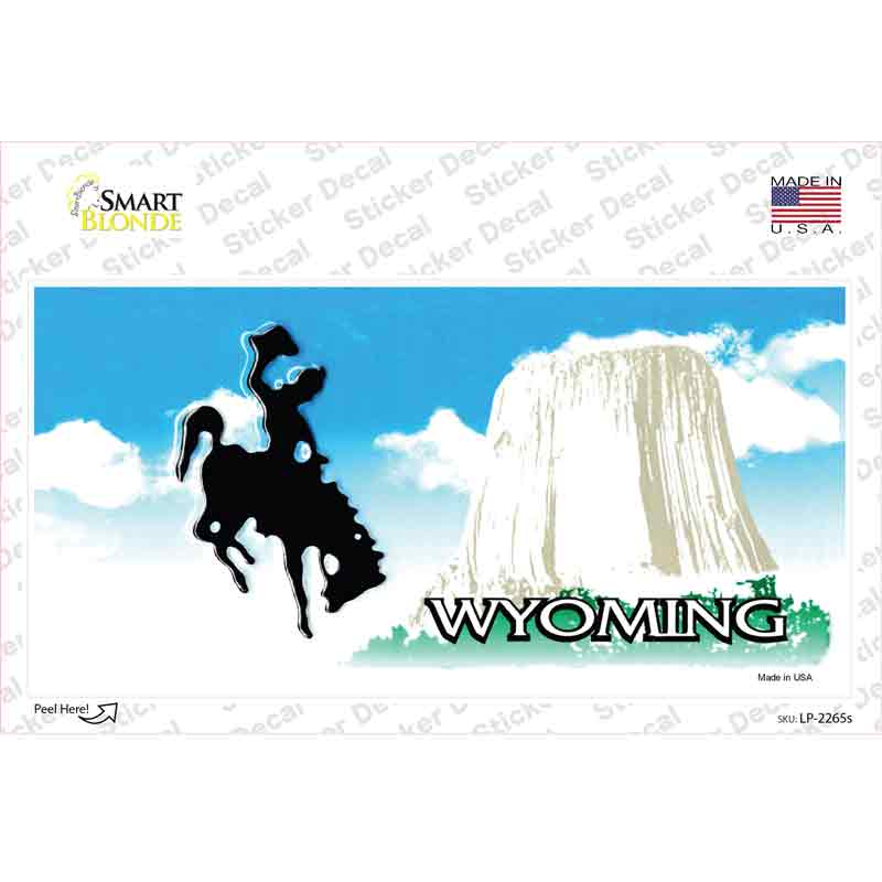 LP-2265s-M Wyoming State Blank Novelty Sticker Decal - Medium