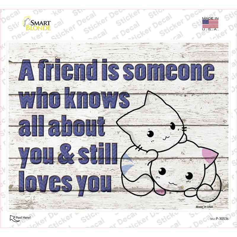 P-3053s-M Knows All About You Novelty Rectangle Sticker Decal - Medium