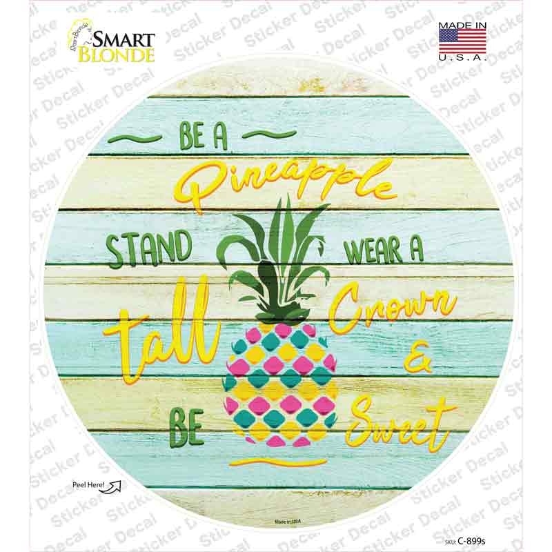C-899s-M Be A Pineapple Novelty Circle Sticker Decal - Medium