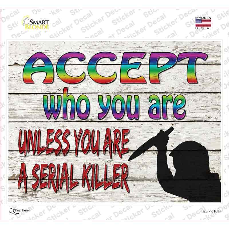 P-3108s-M Accept Who You Are Novelty Rectangle Sticker Decal - Medium