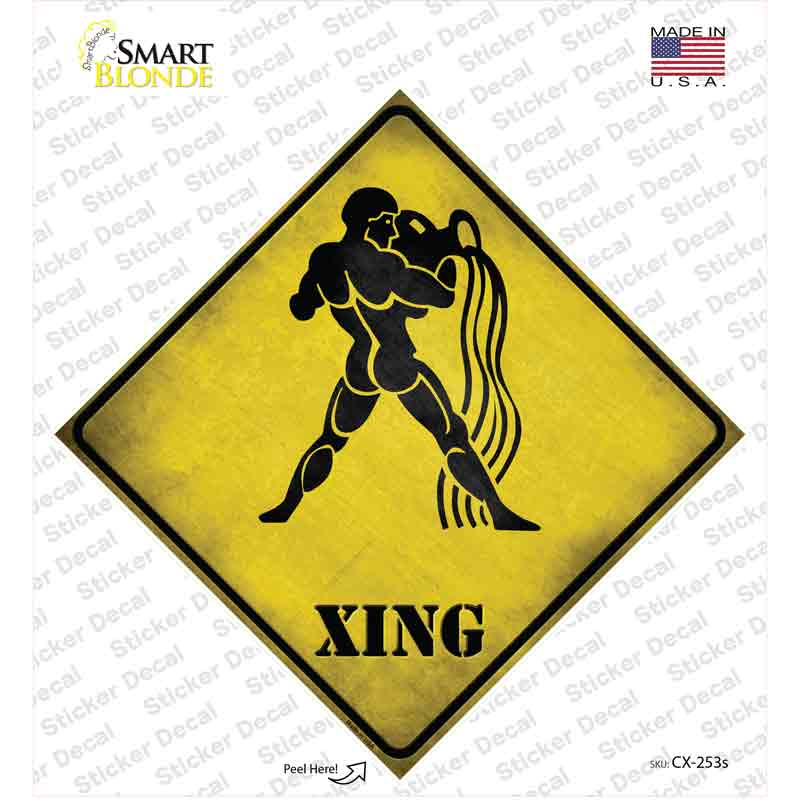 CX-253s-M Aquarius Zodiac Animal Xing Novelty Diamond Sticker Decal - Medium