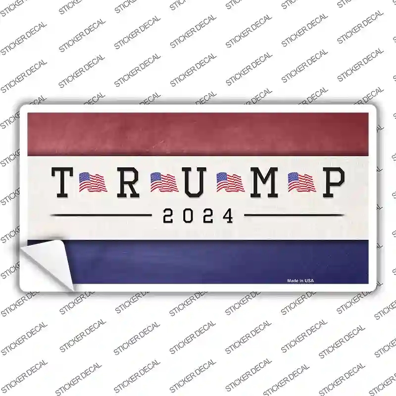 LP-12270s-S Trump 2020 Novelty Sticker Decal - Small