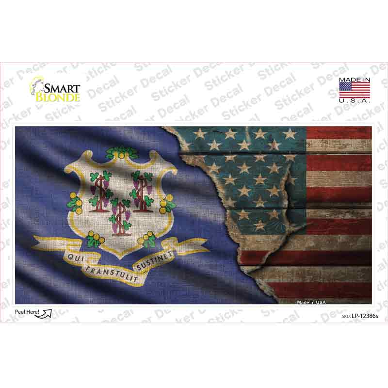 LP-12386s-M Connecticut & American Flag Novelty Sticker Decal - Medium