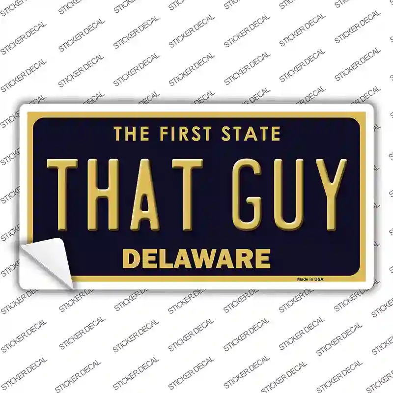LP-6734s-S That Guy Delaware Novelty Sticker Decal - Small