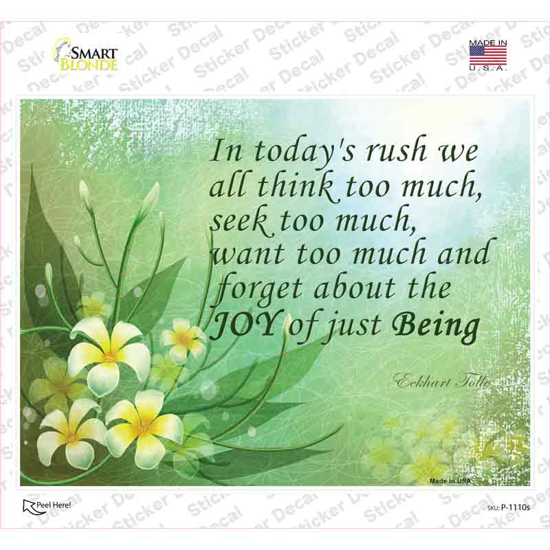 P-1110s-M Todays Rush We Forget Novelty Rectangle Sticker Decal - Medium