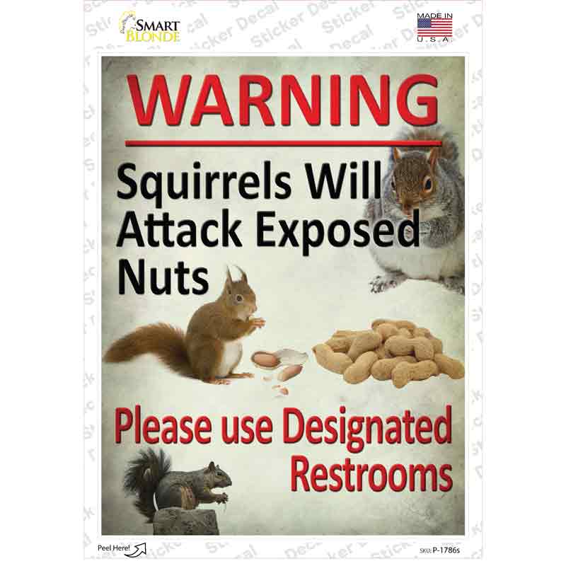 P-1786s-M Squirrels Will Attack Novelty Rectangle Sticker Decal - Medium