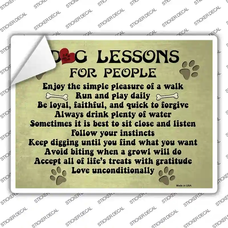 P-1043s-XL Dog Lessons Novelty Rectangle Sticker Decal - Extra Large