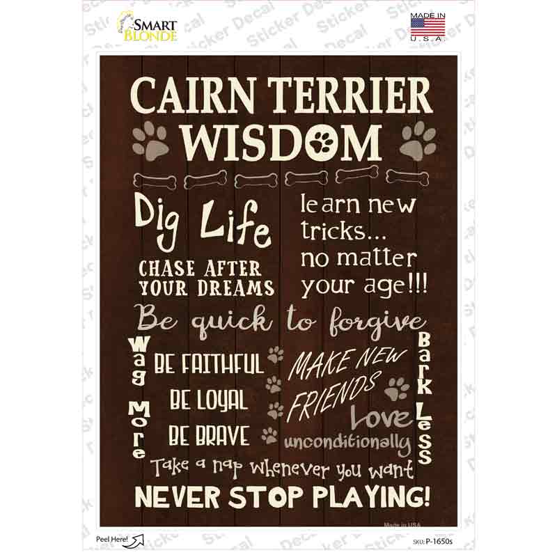 P-1650s-M Cairn Terrier Wisdom Novelty Rectangle Sticker Decal - Medium