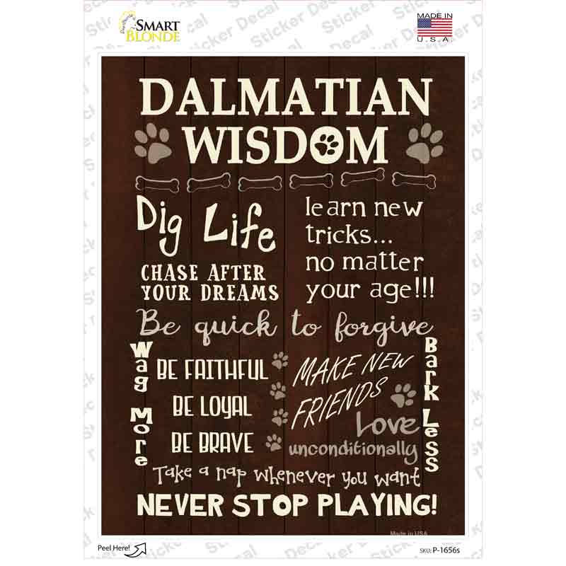 P-1656s-M Dalmatian Wisdom Novelty Rectangle Sticker Decal - Medium