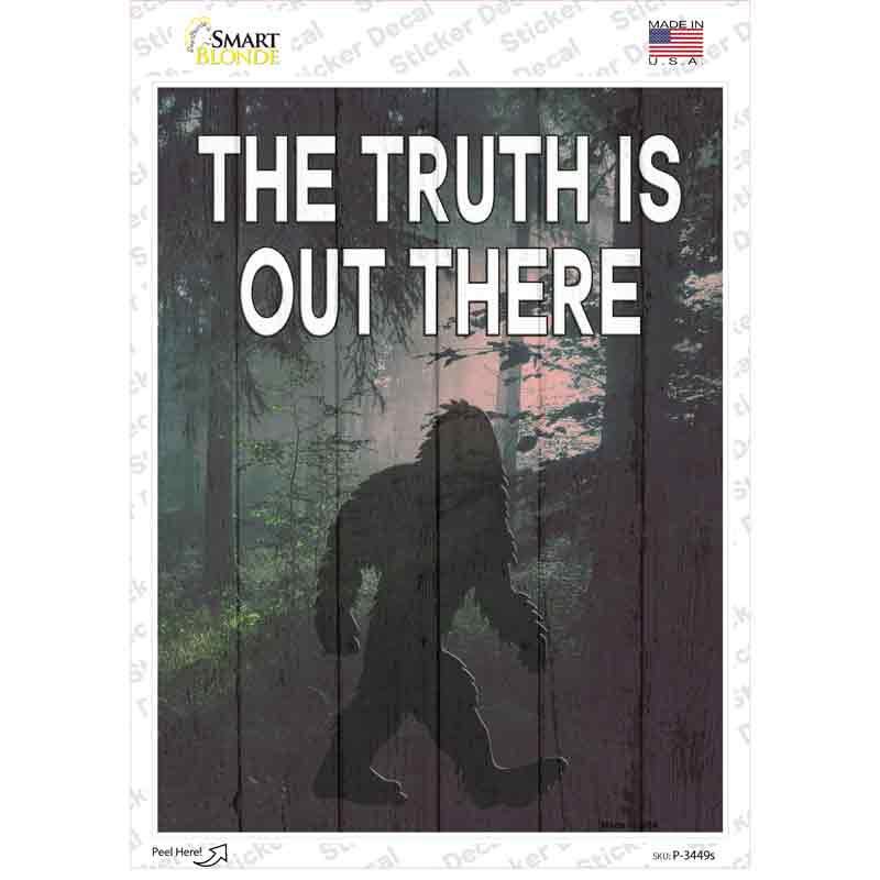 P-3449s-M The Truth is Out There Novelty Rectangle Sticker Decal - Medium