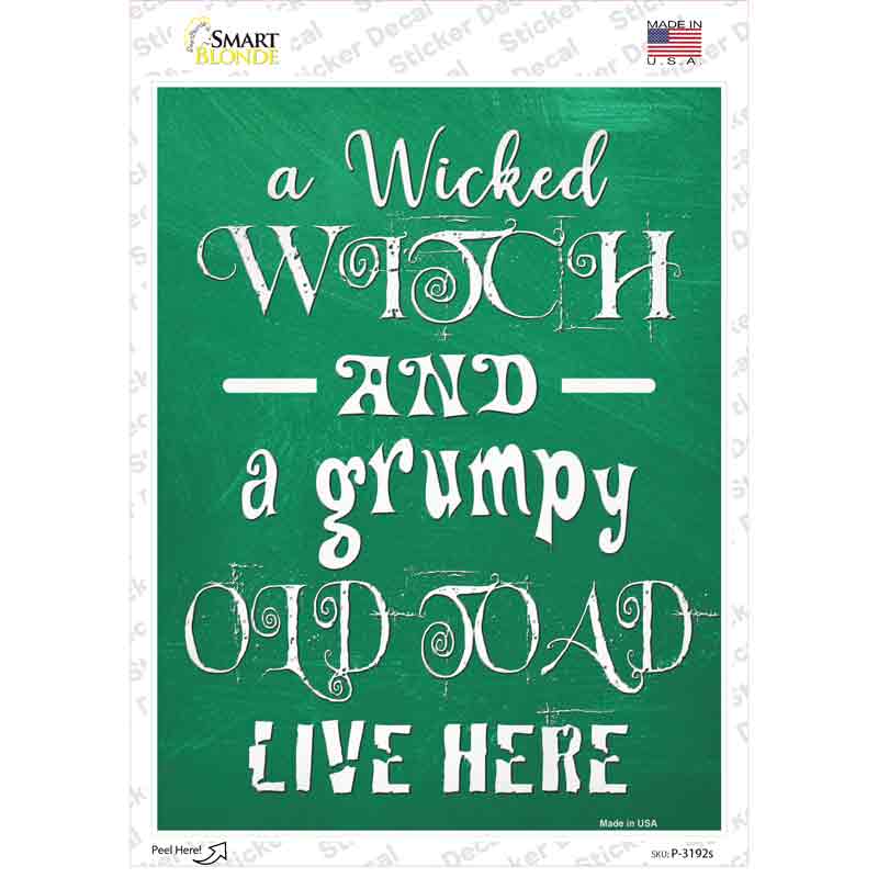 P-3192s-M Wicked Witch & Grumpy Toad Novelty Rectangle Sticker Decal - Medium