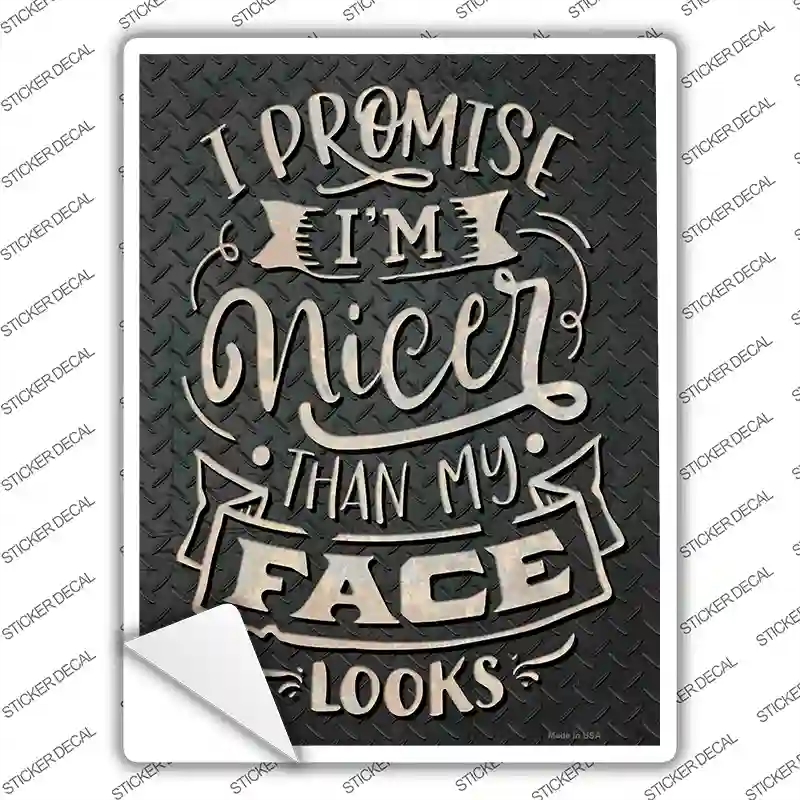 P-3679s-XL Nicer Than My Face Looks Novelty Rectangle Sticker Decal - Extra Large