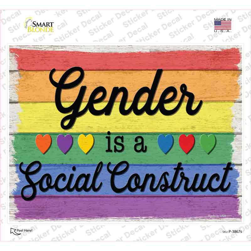 P-3867s-M Gender is A Social Construct Novelty Rectangle Sticker Decal - Medium