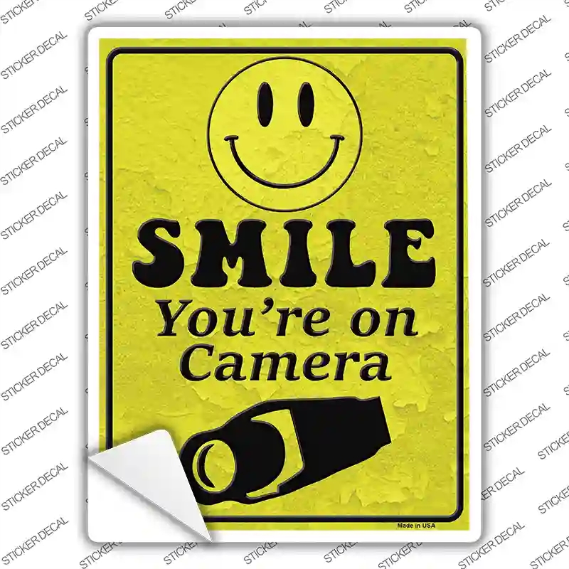 P-1696s-L Smile You Are on Camera Novelty Rectangle Sticker Decal - Large