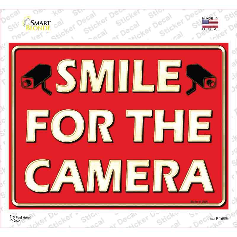 P-1699s-M Smile for the Camera Novelty Rectangle Sticker Decal - Medium