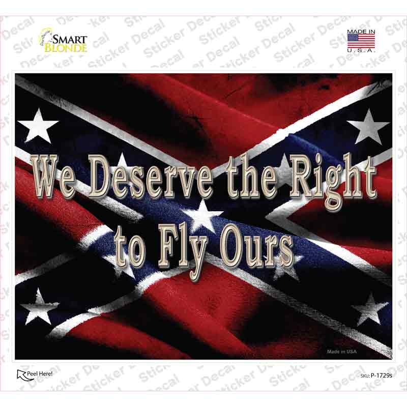 P-1729s-M We Deserve the Right Novelty Rectangle Sticker Decal - Medium