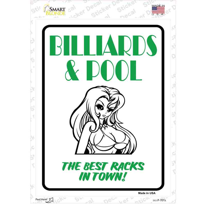 P-701s-M Billiards & Pool Novelty Rectangle Sticker Decal - Medium