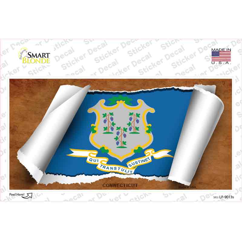 LP-9013s-M Connecticut Flag Scroll Novelty Sticker Decal - Medium