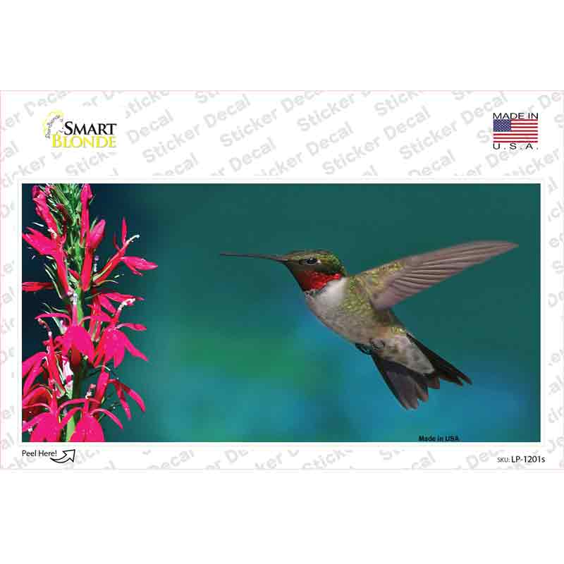 LP-1201s-M Humming Bird Novelty Sticker Decal - Medium