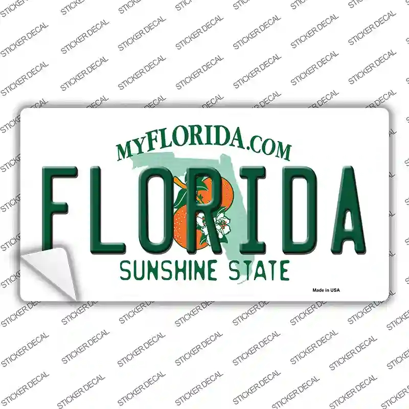 LP-6005s-S Florida Novelty Sticker Decal - Small