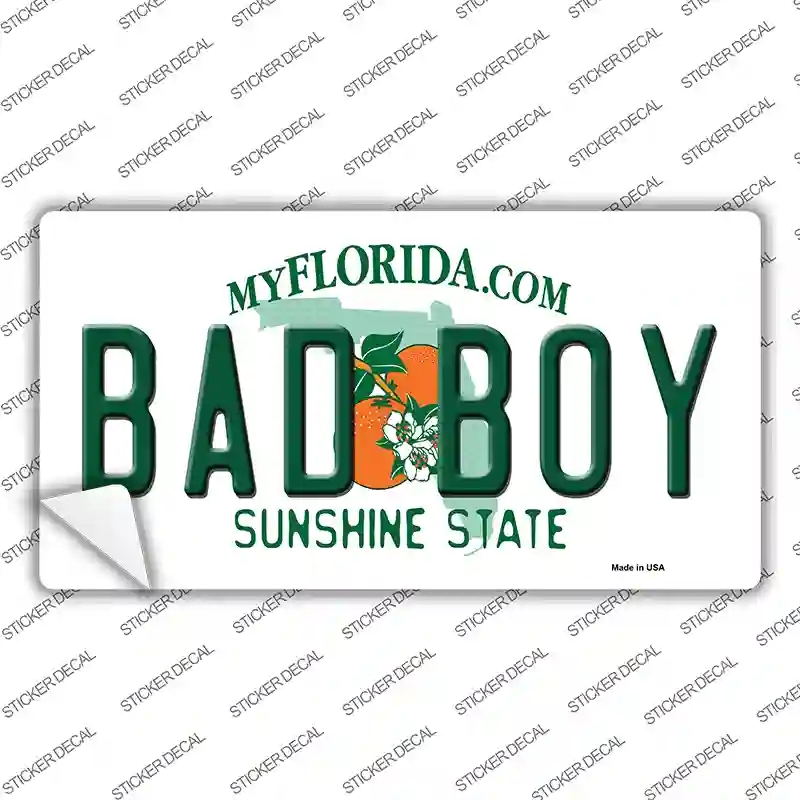 LP-6030s-L Bad Boy Florida Novelty Sticker Decal - Large