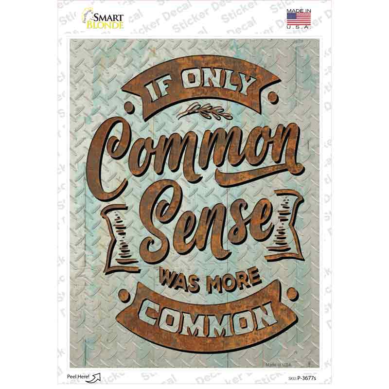 P-3677s-M Common Sense Was More Common Novelty Rectangle Sticker Decal - Medium