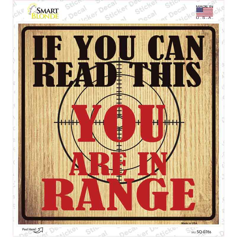 SQ-076s-M You Are in Range Novelty Square Sticker Decal - Medium