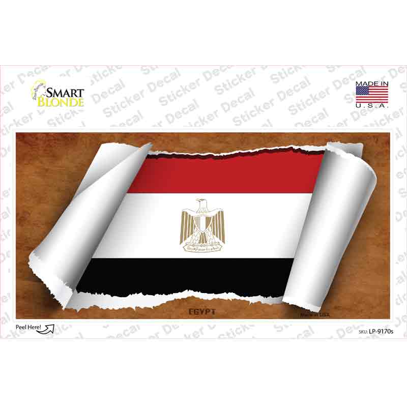 LP-9170s-M Egypt Flag Scroll Novelty Sticker Decal - Medium