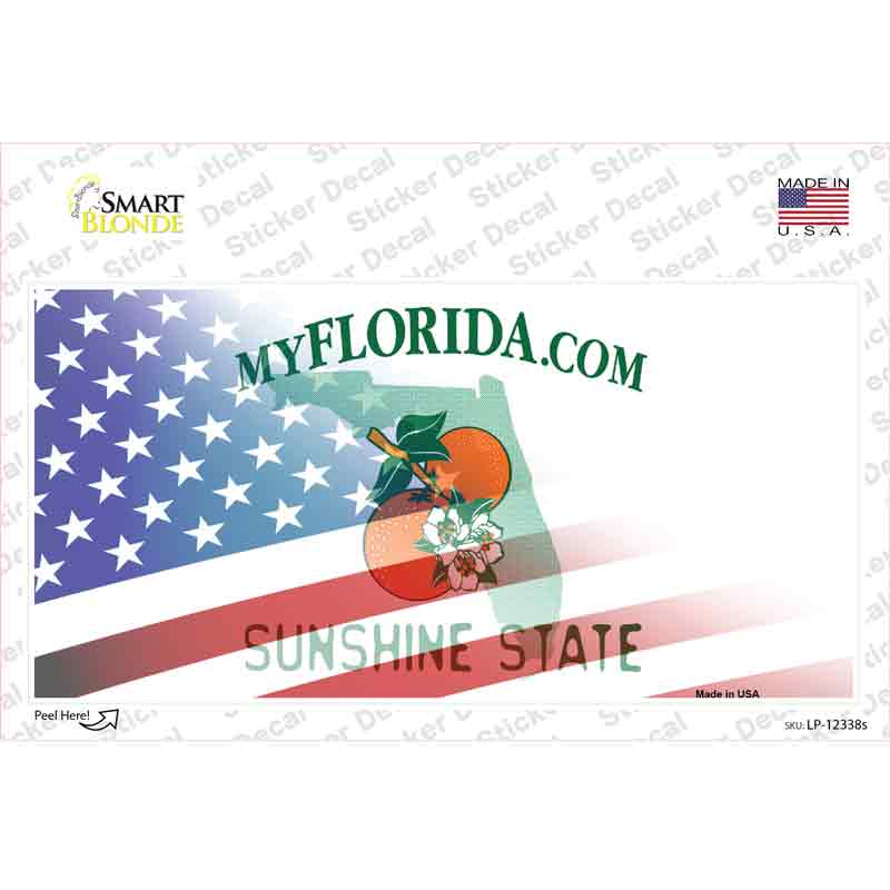 LP-12338s-M Florida with American Flag Novelty Sticker Decal - Medium