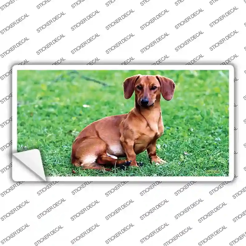 LP-2167s-L Dachshund Dog Novelty Sticker Decal - Large