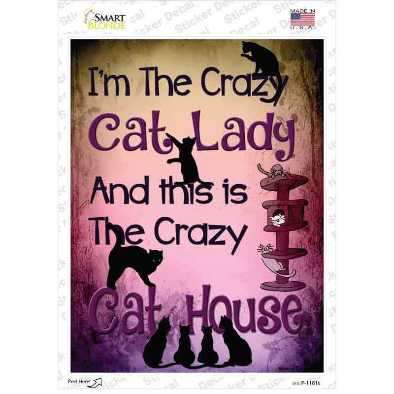 P-1181s-M Crazy Cat Lady Novelty Rectangle Sticker Decal - Medium