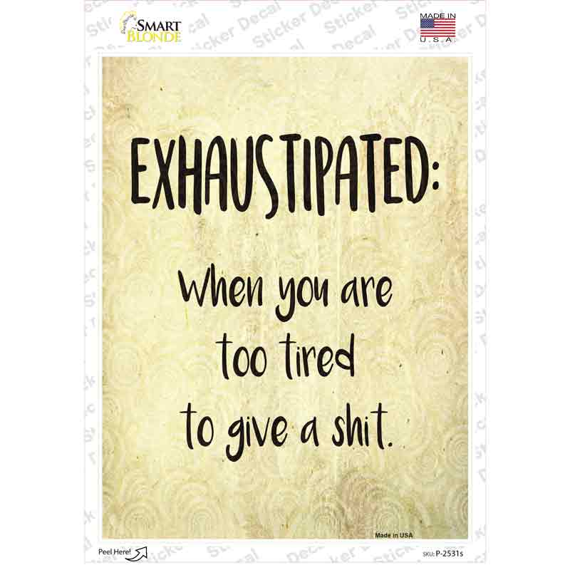 P-2531s-M Exhaustipated Definition Novelty Rectangle Sticker Decal - Medium