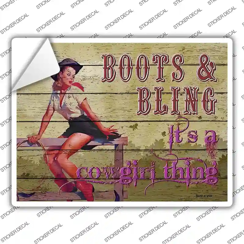 P-3179s-XL Boots & Bling Novelty Rectangle Sticker Decal - Extra Large