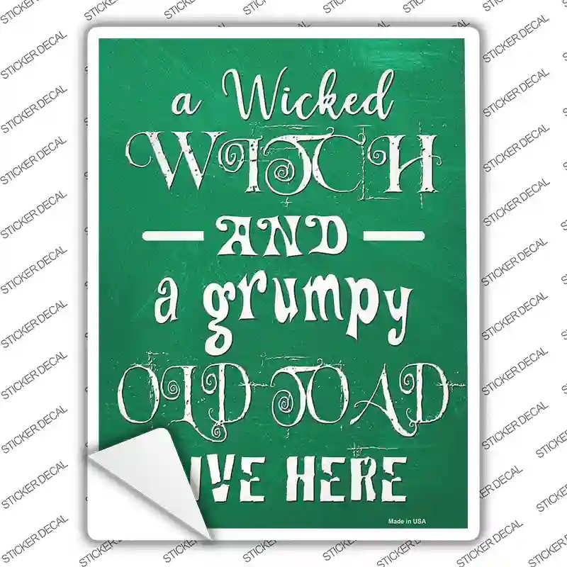 P-3192s-L Wicked Witch & Grumpy Toad Novelty Rectangle Sticker Decal - Large