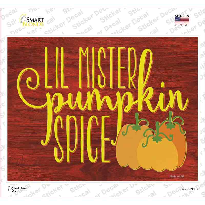 P-3950s-M Lil Mister Pumpkin Spice Novelty Rectangle Sticker Decal - Medium