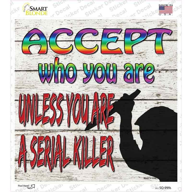 SQ-999s-M Accept Who You Are Novelty Square Sticker Decal - Medium