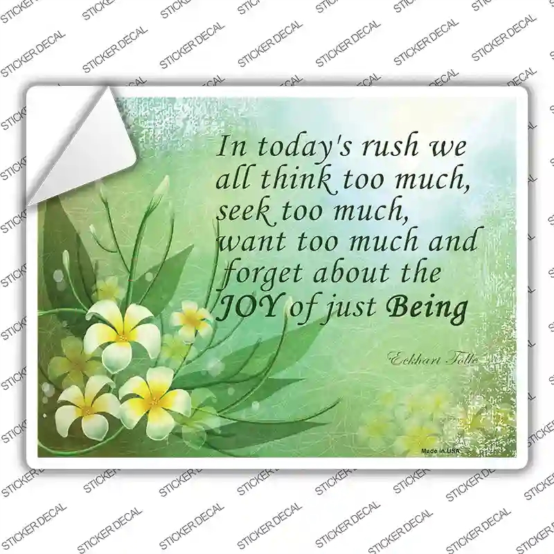P-1110s-XL Todays Rush We Forget Novelty Rectangle Sticker Decal - Extra Large