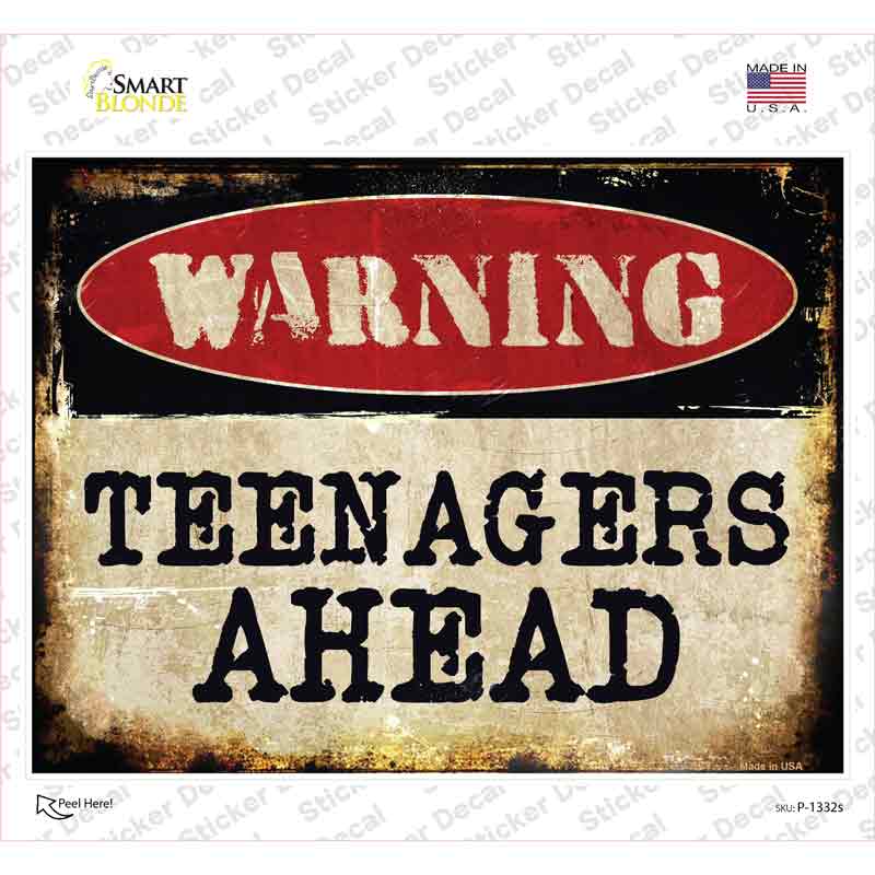 P-1332s-M Teenagers Ahead Novelty Rectangle Sticker Decal - Medium
