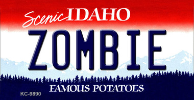 KC-9890 Zombie Idaho State Background Metal Novelty, Key Chain